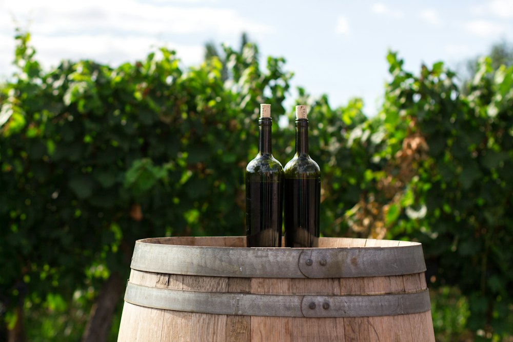 Deux bouteilles posées sur un fût devant les vignes